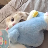 cái máy rung để Tnha đút vào lonho tthat