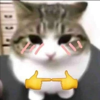 T/G