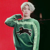 Kang Daesung 