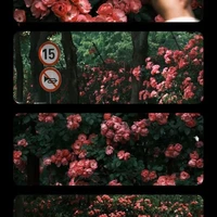 Quyinh đang bị khùng