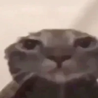 all
