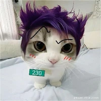 Há rỳy