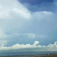 Ng trog thị trấn