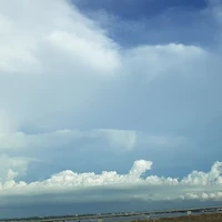 Ng trog thị trấn