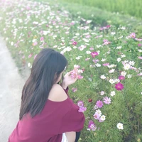 tác giả siuu cutee