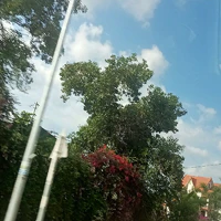 all(-những người cần trừ)