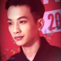 Phạm Vũ Hoài Nam