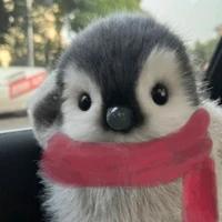 penni