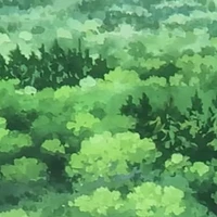 tất cả mn ( trừ ai cần trừ)