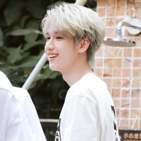 Nghiêm Hạo Tường