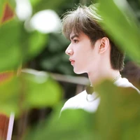 Lưu Diệu Văn