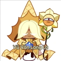 Y/N