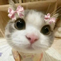 Tác giả 🌷