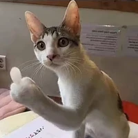 Nhân viên tả què