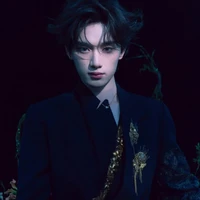 Đinh Trình Hâm_hắn