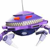 Probe