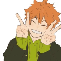 Hinta Shoyo