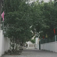 all(trừ ai đó)