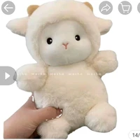 hệ thống - cừu