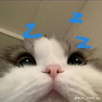 nhỏ t/g hướng nội⚡