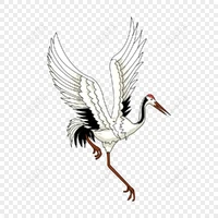 Chim Hạc Gió(chim lớn)