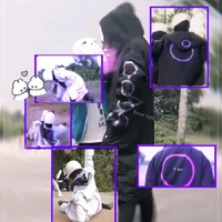 Error 505 Fell