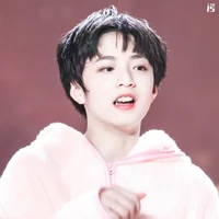 Lưu Diệu Văn