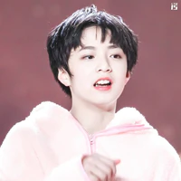 Lưu Diệu Văn