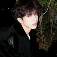 Nhật Khải