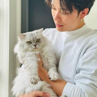 Trần Đăng Dương|Dương Domic