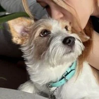 Hank