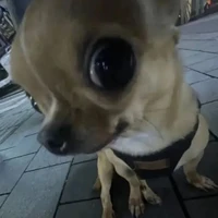 All trừ ai thì trừ