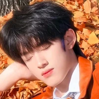 Trương Cực