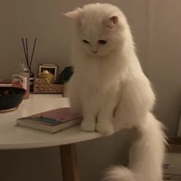 hệ thống xúi giục
