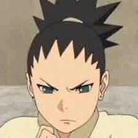 Nara Shikadai