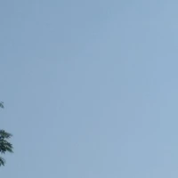 Trợ lí giám sát