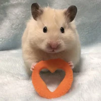 Mousie ngáo ngơ