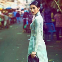 Nương Phi (bà hội đồng)