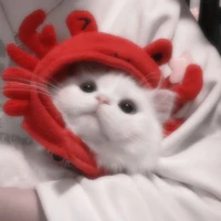 Cua🦀