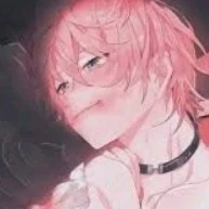 hiha (top)