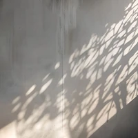 hiha aut (song song)