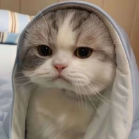 A.