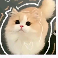 Bắp