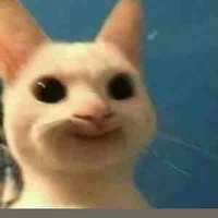 Tác giả cute