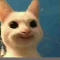 Tác giả cute