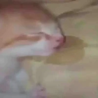 t/g off lâu ngày -)