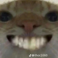 hệ thống (con giúp tác giả)