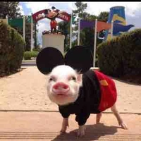 Hệ thống ụt ịt