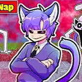 Hiha Catnap