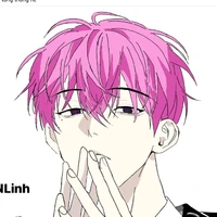 TT Hiha